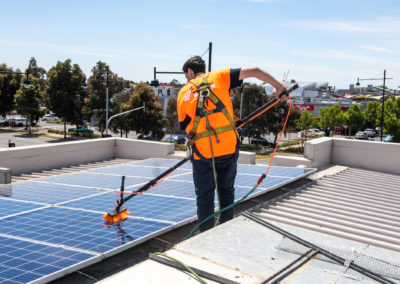 bird-proof-solar