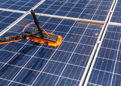 bird-proof-solar