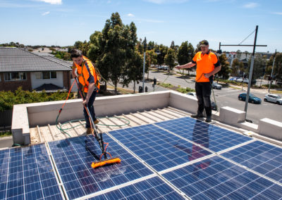 bird-proof-solar