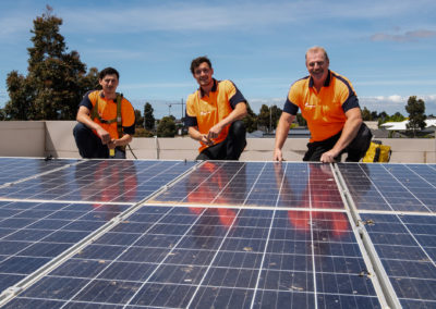 bird proof solar