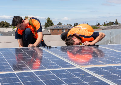 bird proof solar