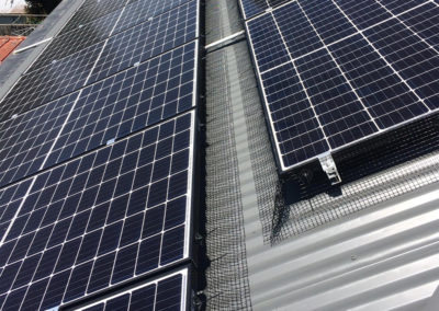 bird proof solar