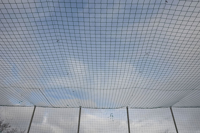 Elevated Bird Netting