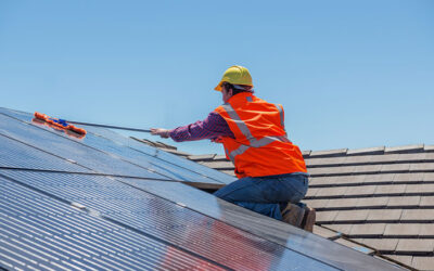 Why Birds Are Attracted to Solar Panels and How to Stop Them