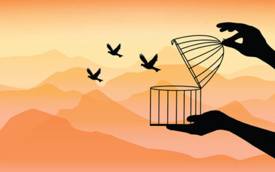 Humane Ways to Trap Birds and Prevent Them from Returning to Your Home